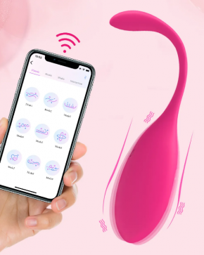 PulsePlay Panty Vibrator Toy